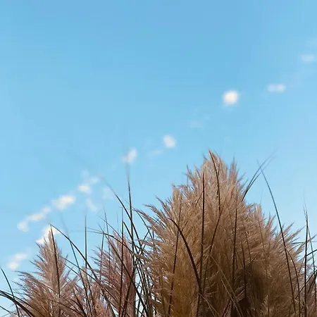 Mobile Dora